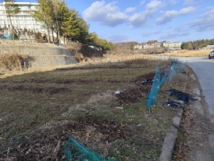 2025타경1268 법원경매 사진8 | 충남 예산군 대지 경매