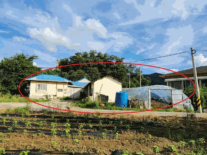 충남 아산시 음봉면 원남리 133-1 전 사진 2