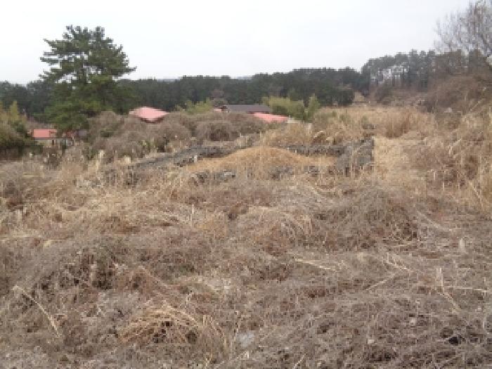2025타경350 법원경매 사진2 | 제주 제주시 단독주택 경매