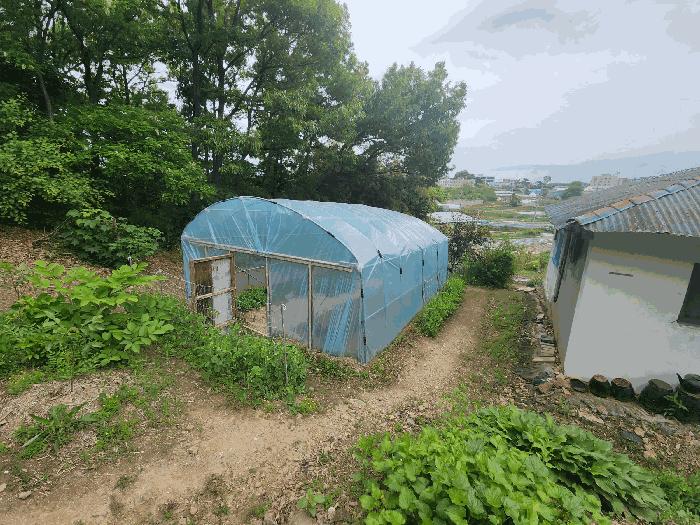 2025타경584 법원경매 사진3 | 충남 당진시 임야 경매