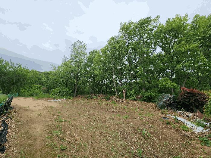 2025타경584 법원경매 사진4 | 충남 당진시 임야 경매