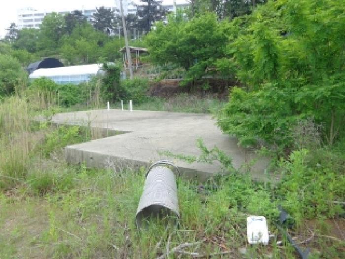 2025타경628 법원경매 사진11 | 충남 태안군 대지,임야,전답 경매