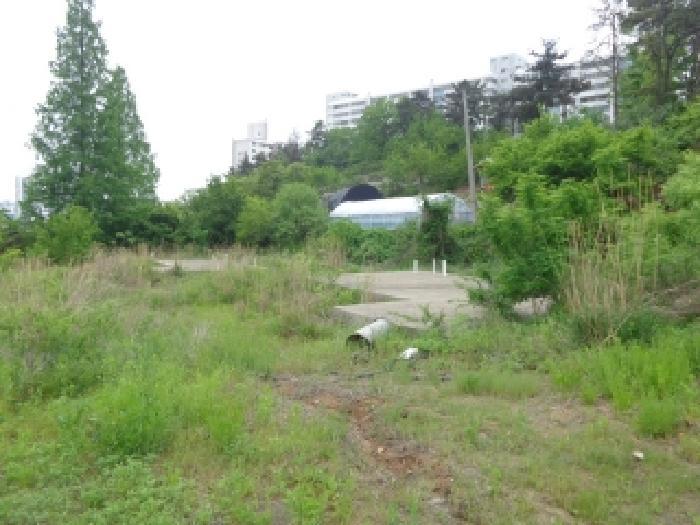 2025타경628 법원경매 사진14 | 충남 태안군 대지,임야,전답 경매