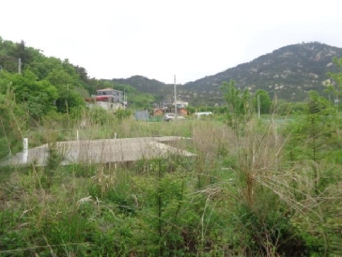 2025타경628 법원경매 사진15 | 충남 태안군 대지,임야,전답 경매