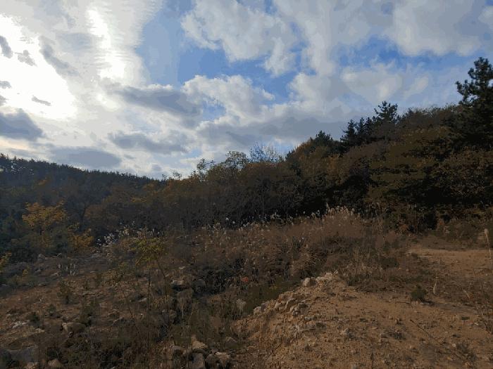2025타경889 법원경매 사진2 | 충남 태안군 임야 경매