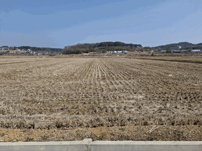 충남 당진시 석문면 삼봉리 694-9 답 사진 2