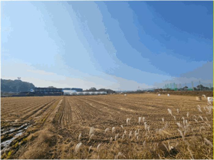 법원경매 2025타경875 사진3 | 평택시 서탄면 금각리 1264 답 경매