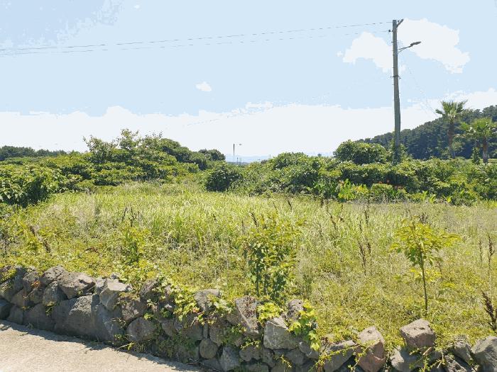 2025타경1486 법원경매 사진6 | 제주 제주시 주택건물 경매