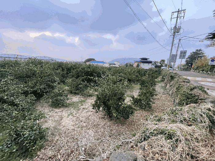 2025타경9090 법원경매 사진4 | 제주 제주시 전 경매
