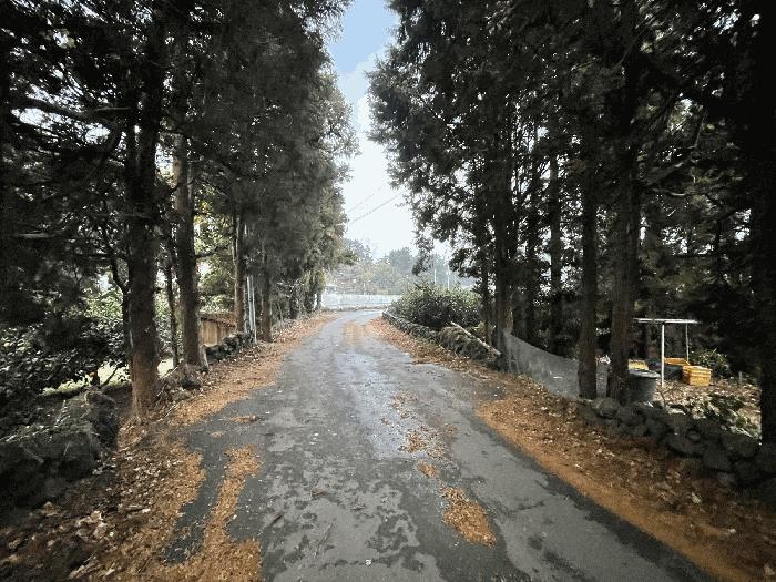 2025타경9090 법원경매 사진7 | 제주 제주시 전 경매