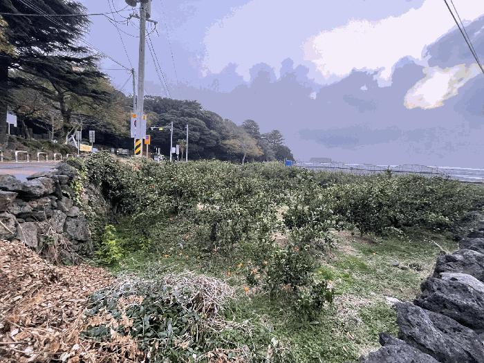 2025타경9090 법원경매 사진2 | 제주 제주시 전답 경매