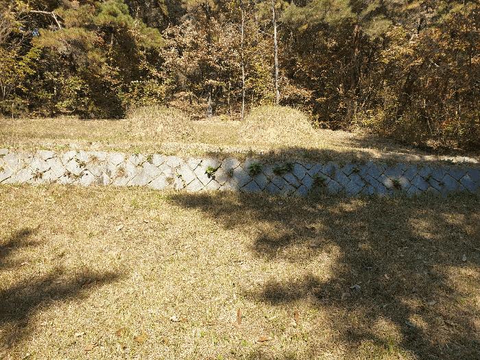 법원경매 2025타경9657 사진2 | 칠곡군 북삼읍 오평리 임야 경매