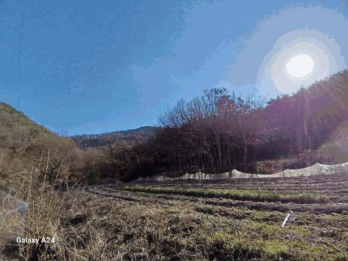 2024타경8674 법원경매 사진6 | 광주 북구 구거 경매