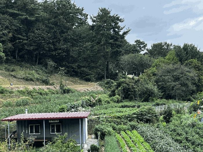 대전 서구 괴곡동 182 전 사진 2