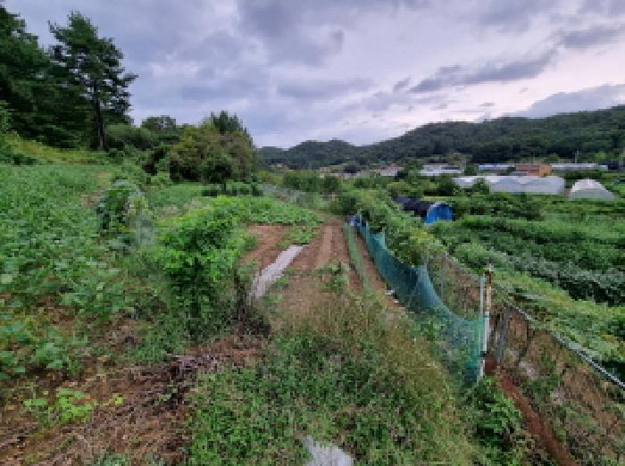 대전 서구 괴곡동 182 전 사진 4