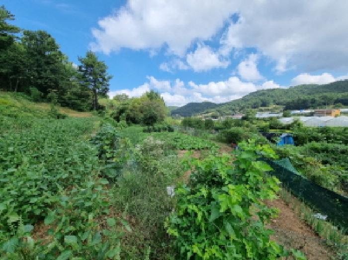 대전 서구 괴곡동 182 전 사진 5