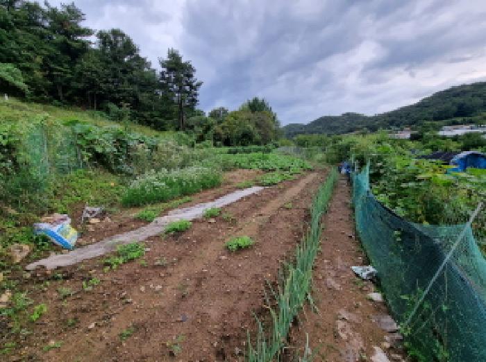 대전 서구 괴곡동 182 전 사진 6