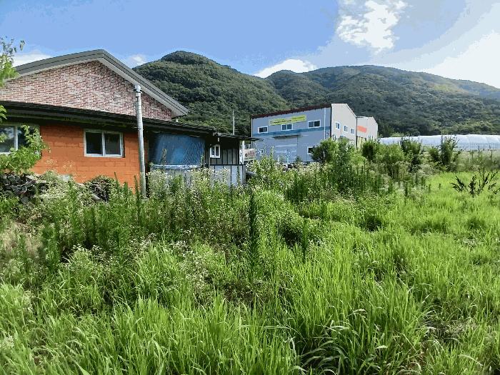 2025타경4501 법원경매 사진3 | 전남 장성군 전 경매