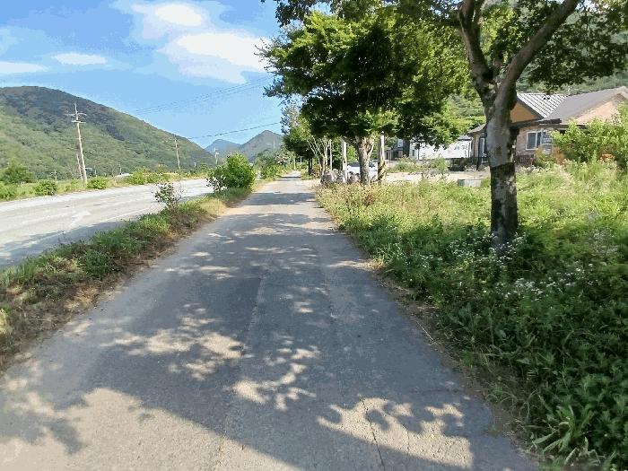 2025타경4501 법원경매 사진4 | 전남 장성군 전 경매
