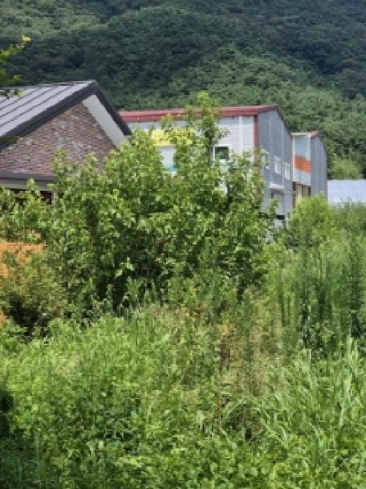 2025타경4501 법원경매 사진7 | 전남 장성군 전 경매
