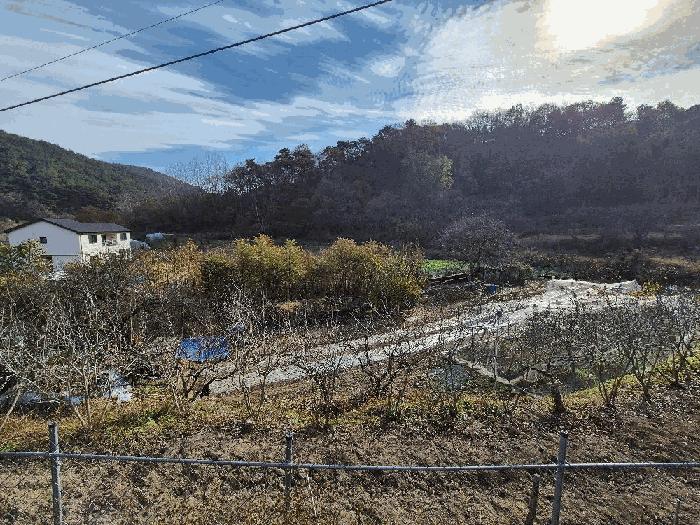 2025타경353 법원경매 사진9 | 경남 함안군 답 경매
