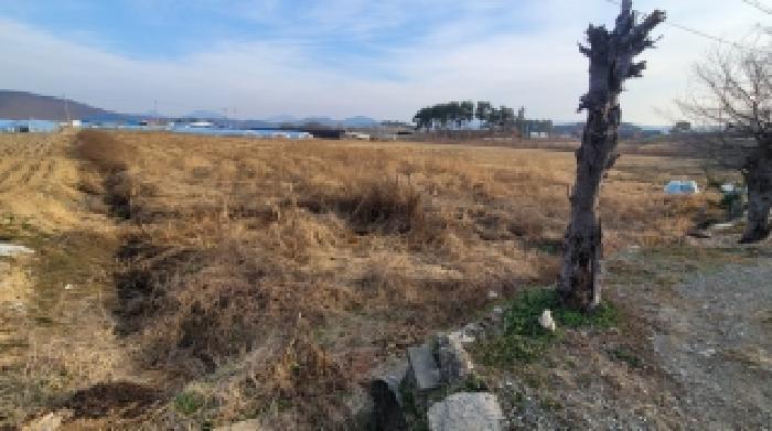 2025타경363 법원경매 사진9 | 경남 함안군 답 경매