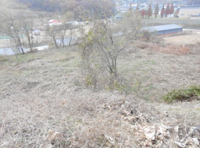 법원경매 2025타경503735 사진19 | 전동면 청송리 458-1 공장 경매