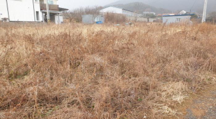 법원경매 2025타경35330 사진11 | 김포시 월곶면 고막리 270-7 전 경매