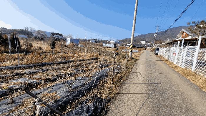 법원경매 2025타경35330 사진8 | 김포시 월곶면 고막리 270-7 전 경매