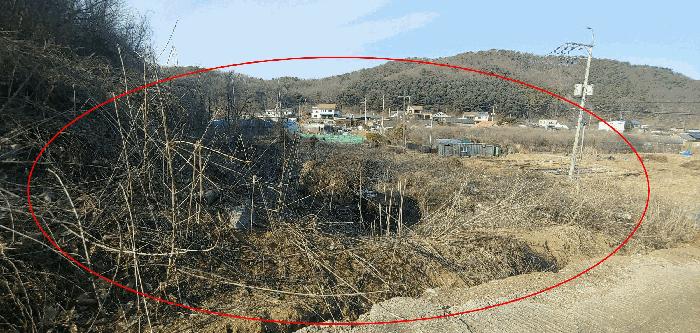 경기 김포시 월곶면 조강리 271-4 임야 사진 2