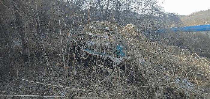경기 김포시 월곶면 조강리 271-4 임야 사진 3