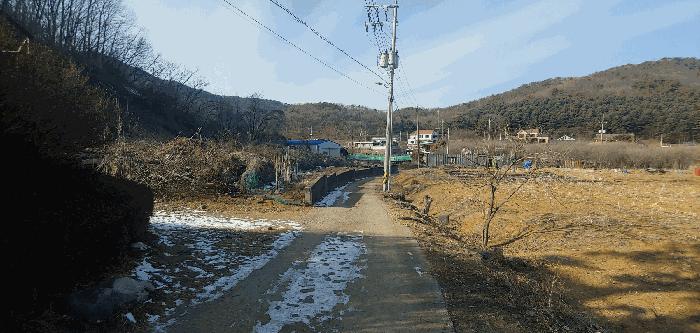 경기 김포시 월곶면 조강리 271-4 임야 사진 6
