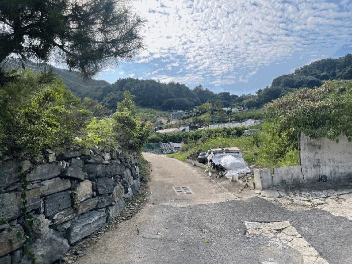 경남 창원시 마산합포구 진전면 창포리 163 대지 사진 5