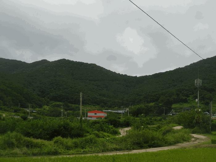2025타경33731 법원경매 사진7 | 전남 화순군 임야 경매
