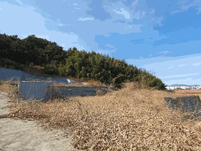 경남 김해시 풍유동 379 대지 사진 3