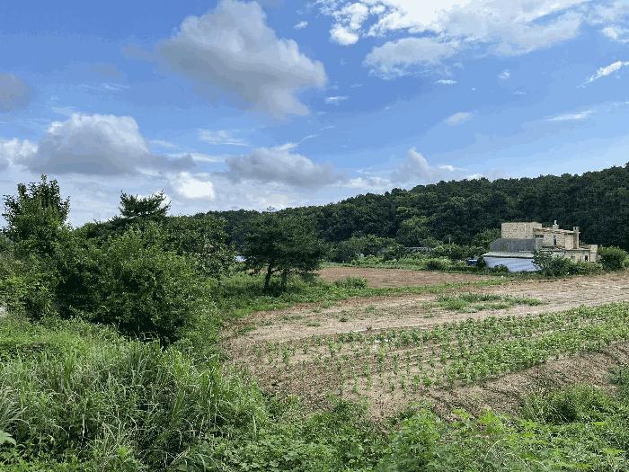 인천광역시 강화군 불은면 넙성리 747-1 법원경매 물건 대표사진