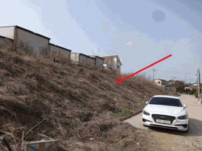 2025타경55458 법원경매 사진3 | 경기 화성시 임야 경매