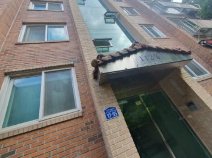 경기도 광주시 상태길68번길 17-56, 2층201호 · 지번주소: 경기도 광주시 신현동 937-5 법원경매 물건 대표사진