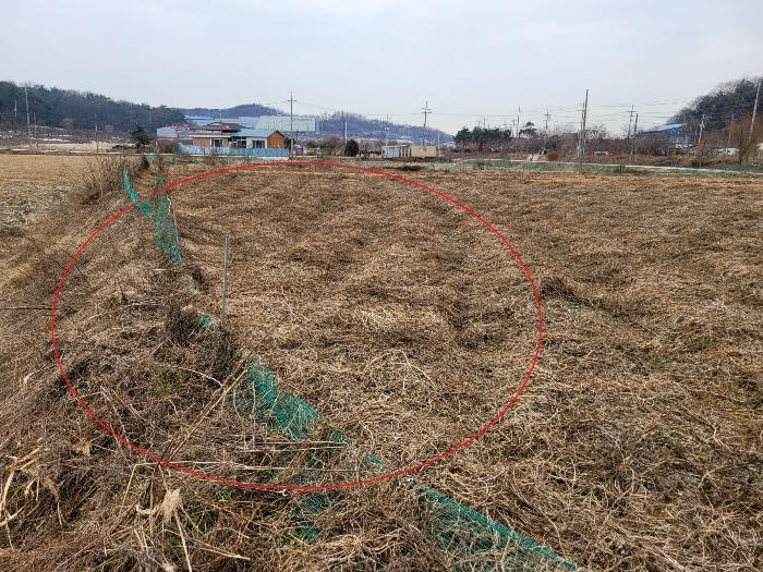2024타경5576 법원경매 사진4 | 경기 안성시 전 경매