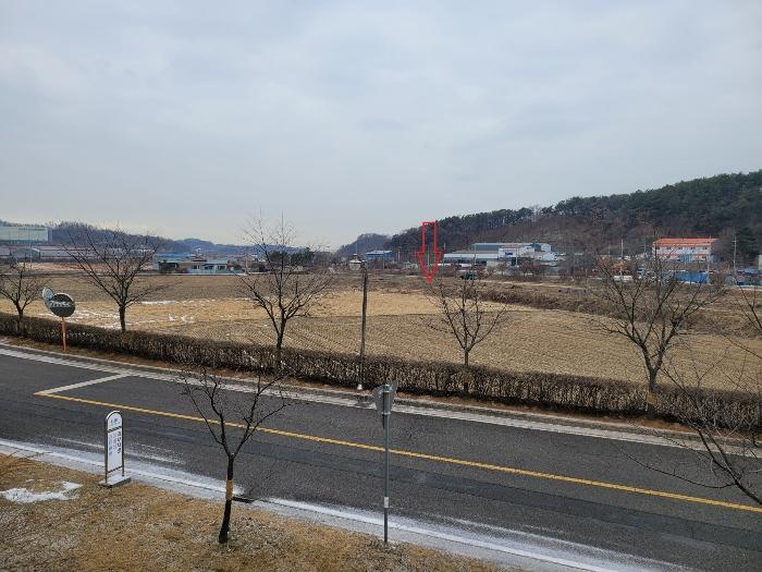 2024타경5576 법원경매 사진5 | 경기 안성시 전 경매