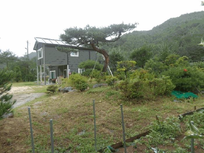 법원경매 2025타경236 사진5 | 삼척시 원덕읍 임원리 1071 주택건물 경매