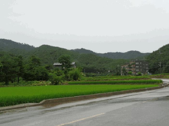 법원경매 2025타경236 사진7 | 삼척시 원덕읍 임원리 1071 주택건물 경매
