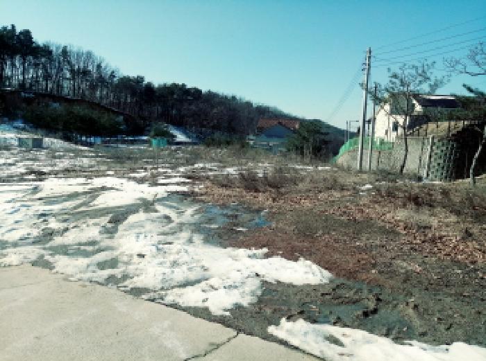법원경매 2025타경40118 사진7 | 안성시 원곡면 칠곡리 666-8 대지,임야,전답 경매