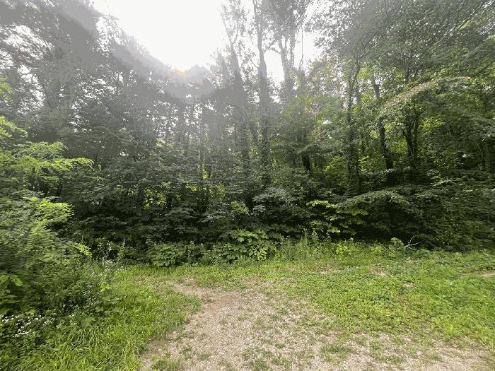 강원 강릉시 성산면 산북리 산172-2 임야 경매 물건 사진