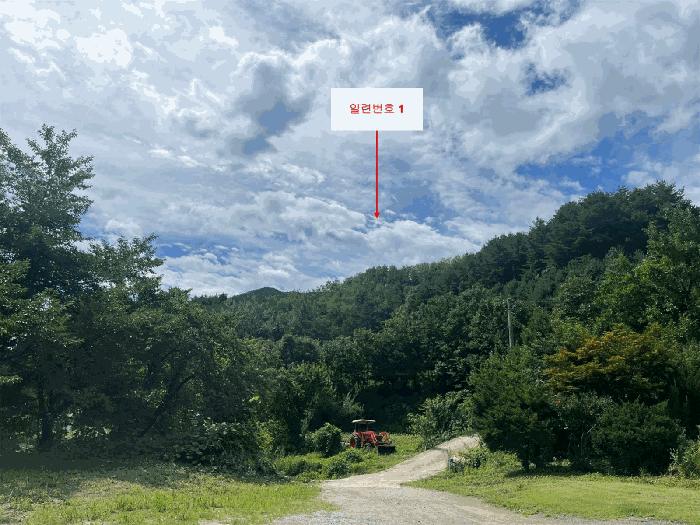 강원 강릉시 성산면 산북리 산172-2 임야 사진 2