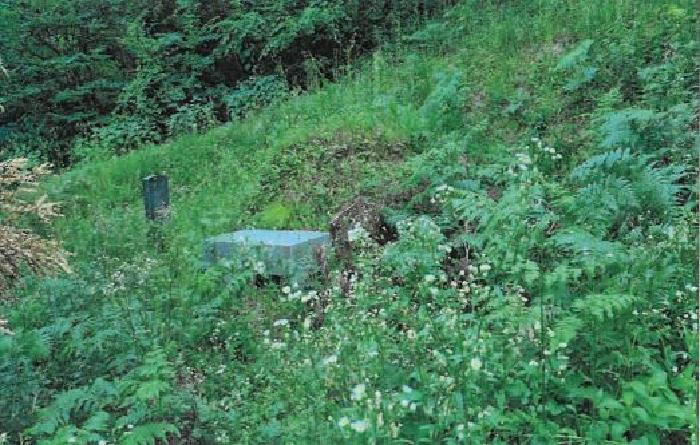 강원 강릉시 성산면 산북리 산172-2 임야 사진 4