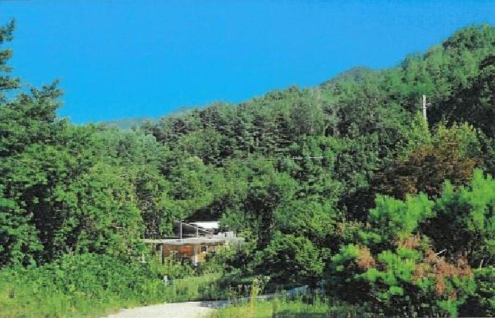 강원 강릉시 성산면 산북리 산172-2 임야 사진 5