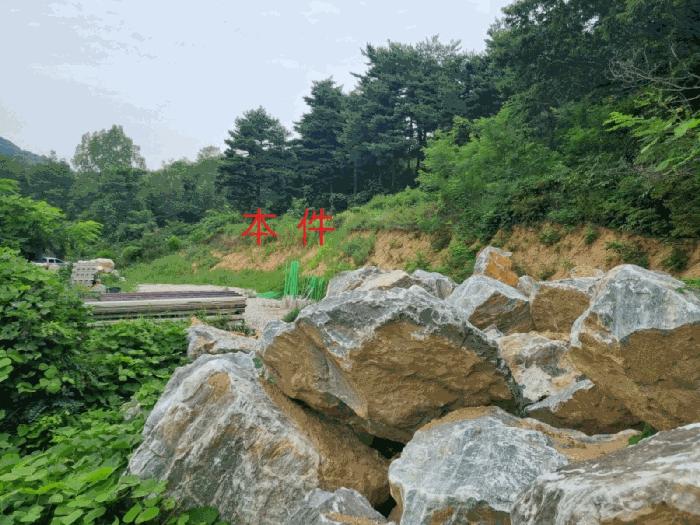 강원 동해시 천곡동 산255 임야 사진 4