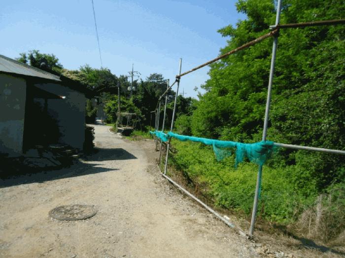 법원경매 2025타경42005 사진2 | 평택시 안중읍 용성리 530-4 주택건물 경매