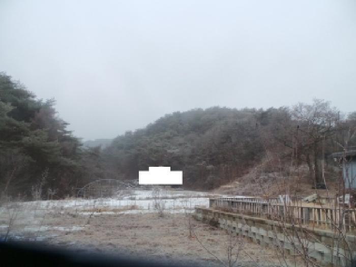 2025타경50995 법원경매 사진7 | 강원 춘천시 임야 경매